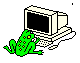 Programming frog ???