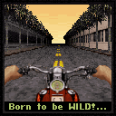 Better be wild than boring!